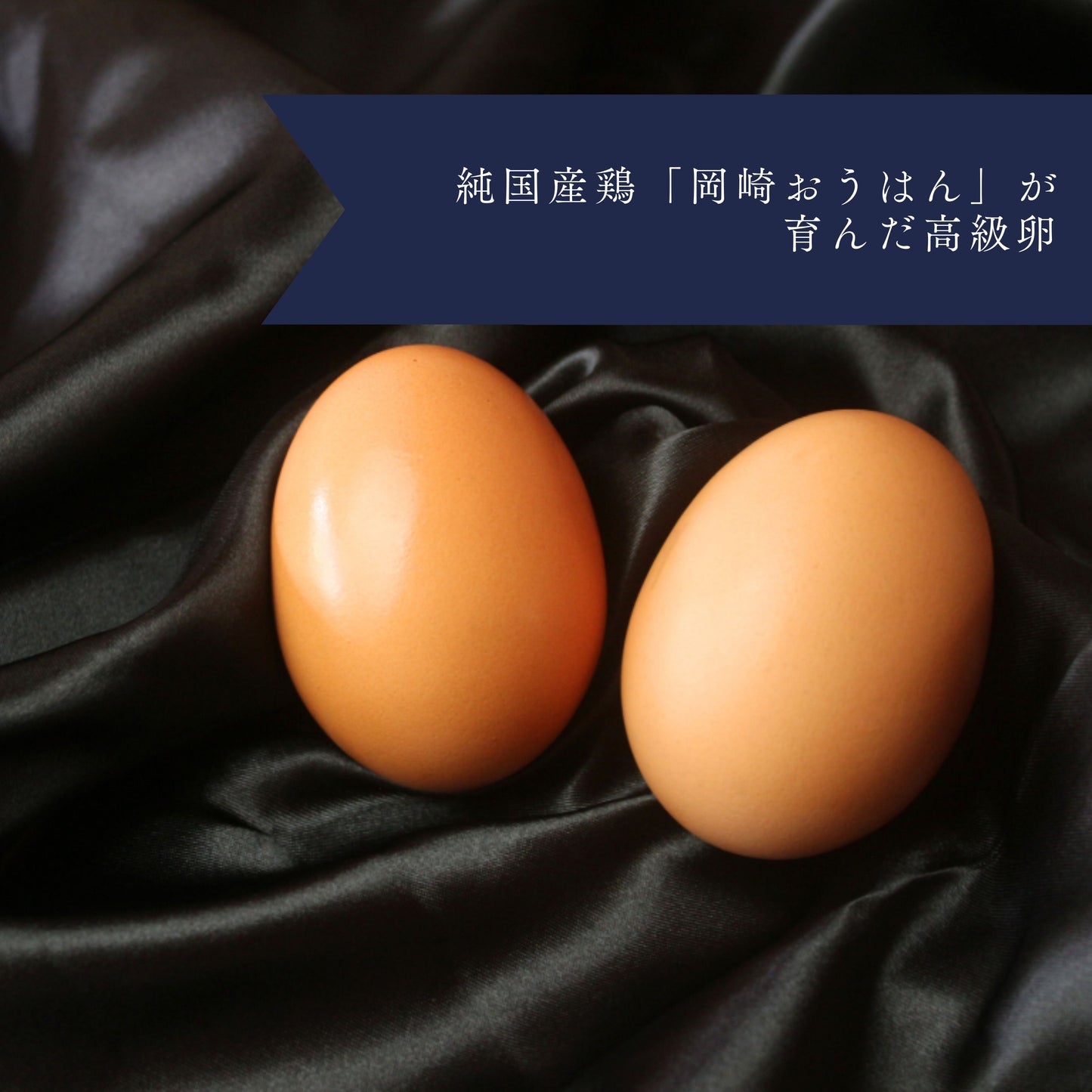 極上の味わいセット「紀の夢たまご10個×佐藤養助 稲庭うどん(10人前/つゆ無し)」