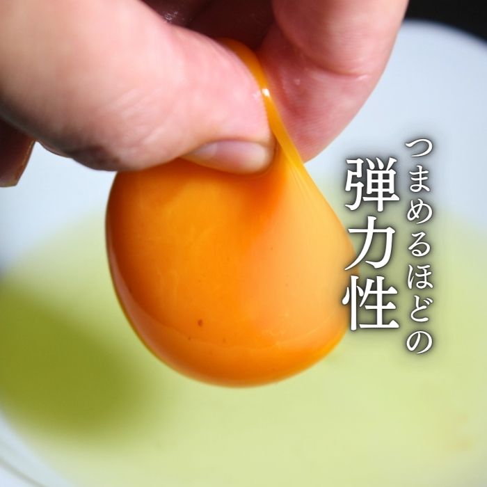数量 限定 6個 セット 幻の卵「 紀の夢たまご 極み 」