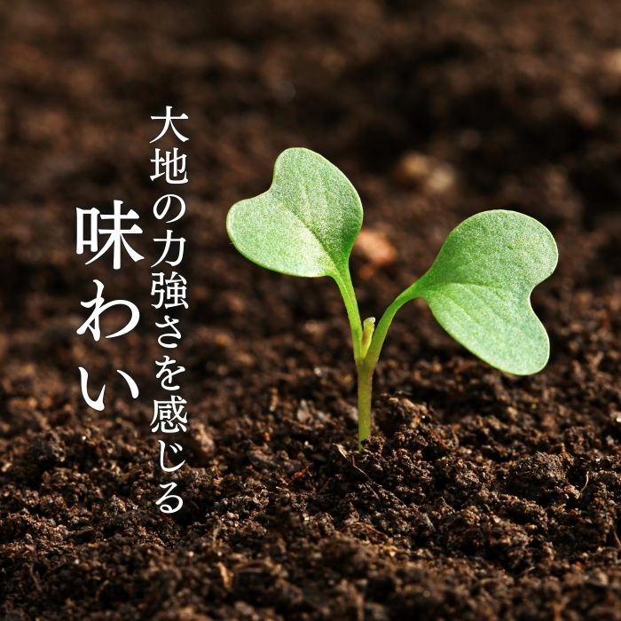数量 限定 6個 セット 幻の卵「 紀の夢たまご 極み 」