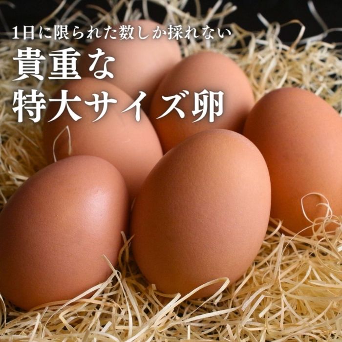 数量 限定 6個 セット 幻の卵「 紀の夢たまご 極み 」