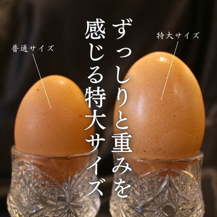 数量 限定 6個 セット 幻の卵「 紀の夢たまご 極み 」