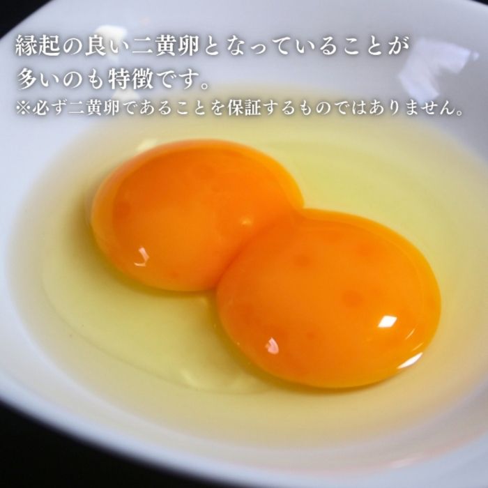 数量 限定 6個 セット 幻の卵「 紀の夢たまご 極み 」
