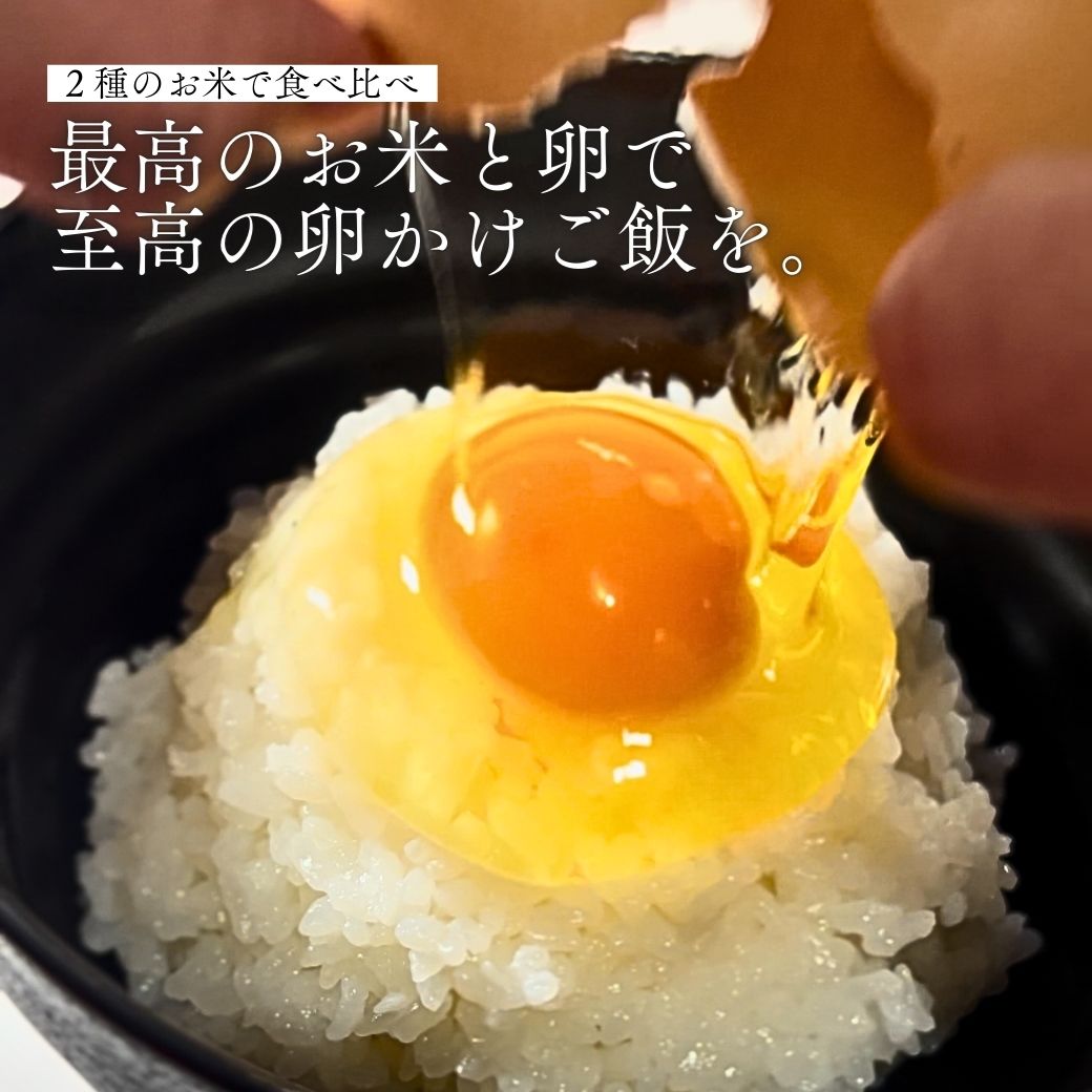 八代目儀兵衛コラボ 最高級 紀の夢たまご 濃厚 絶品 卵かけご飯 (TKG) セット
