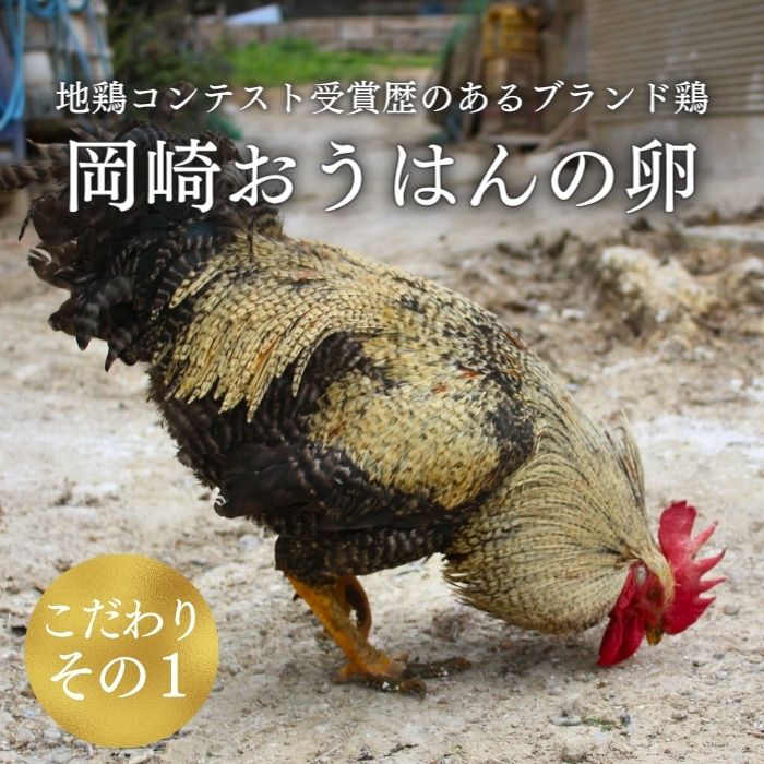 数量 限定 6個 セット 幻の卵「 紀の夢たまご 極み 」