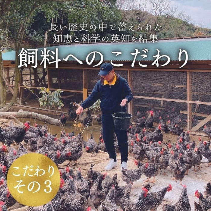数量 限定 6個 セット 幻の卵「 紀の夢たまご 極み 」