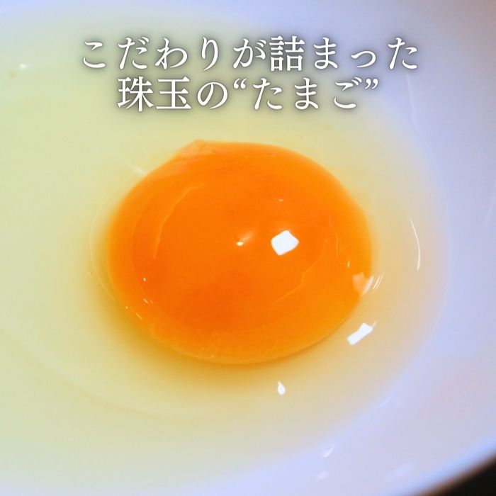 10個 セット 最高級 卵「紀の夢たまご」通常サイズ:純国産 平飼い 鶏 愛知 岡崎おうはん チベット産 湖塩付き 割れ保証 卵 かけご飯 TKG お菓子作り 贈答 お祝い プレゼント ギフト こだわり食材 おもてなし 健康 こだわり食材
