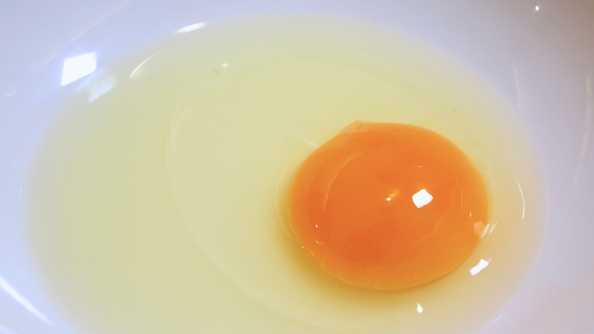 生の紀の夢たまご
